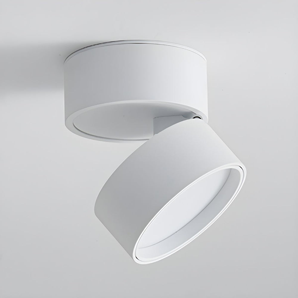 Illumina Ceiling Light with Adjustable Spotlight Head