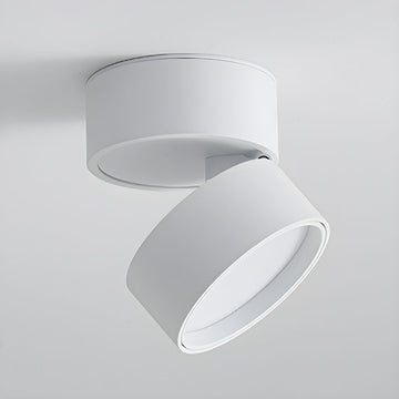 Illumina Ceiling Light with Adjustable Spotlight Head