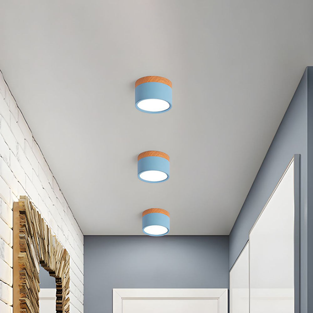 LED Ceiling Light Modern Flush Mount Cylindra
