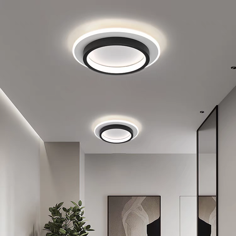 Elite Ceiling Light Modern Flush Mount Fixture