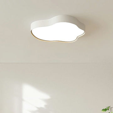 Metal Flush Mount Ceiling Light with LED