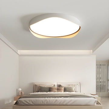 Flush Mount Ceiling Light with White LED Bulbs