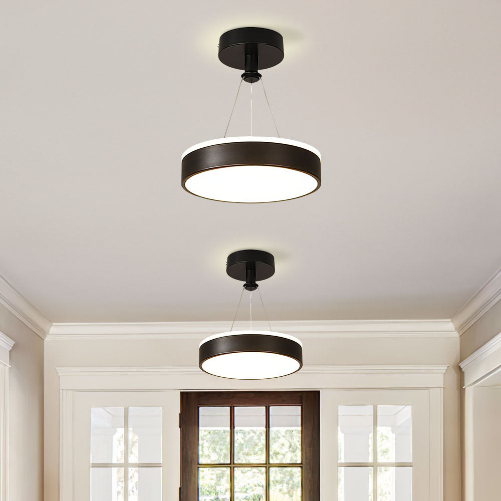 Chic Contemporary Metal LED Pendant Ceiling Lights