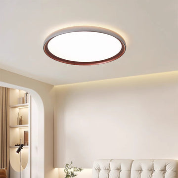 Led Ceiling Light Minimalist