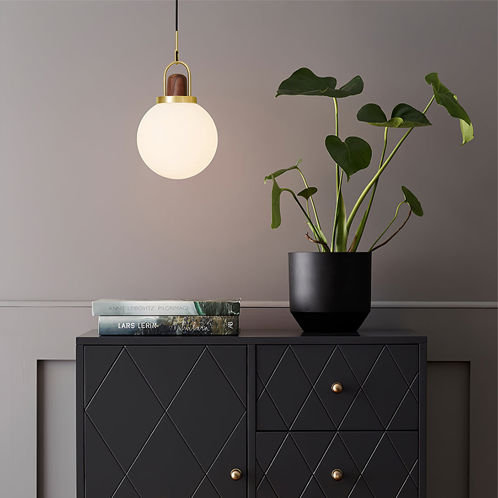 Pendant Light with Glass Globe Splendor