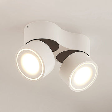 Lustre Lighting with Adjustable LED Spotlights