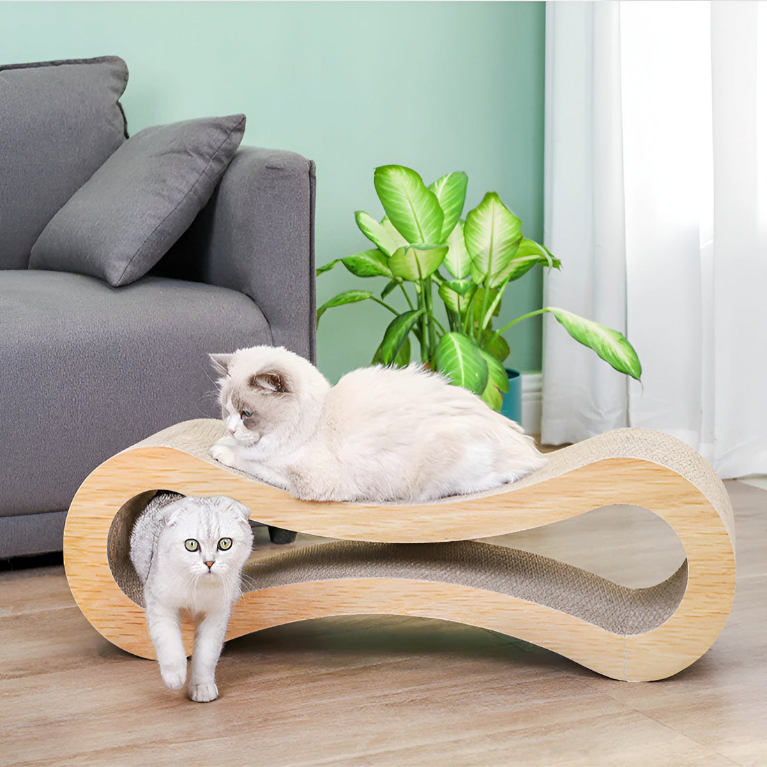 Curved Cat Scratcher Lounge Claw Rest Bed
