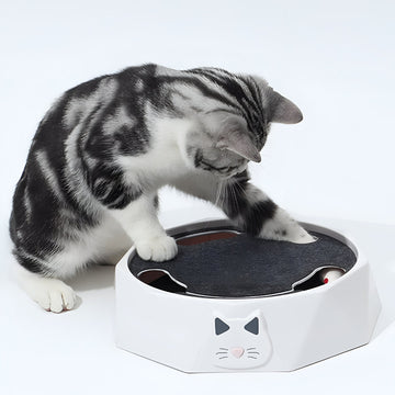 Interactive Mouse Activity Center Cat Toy Scratch Pad