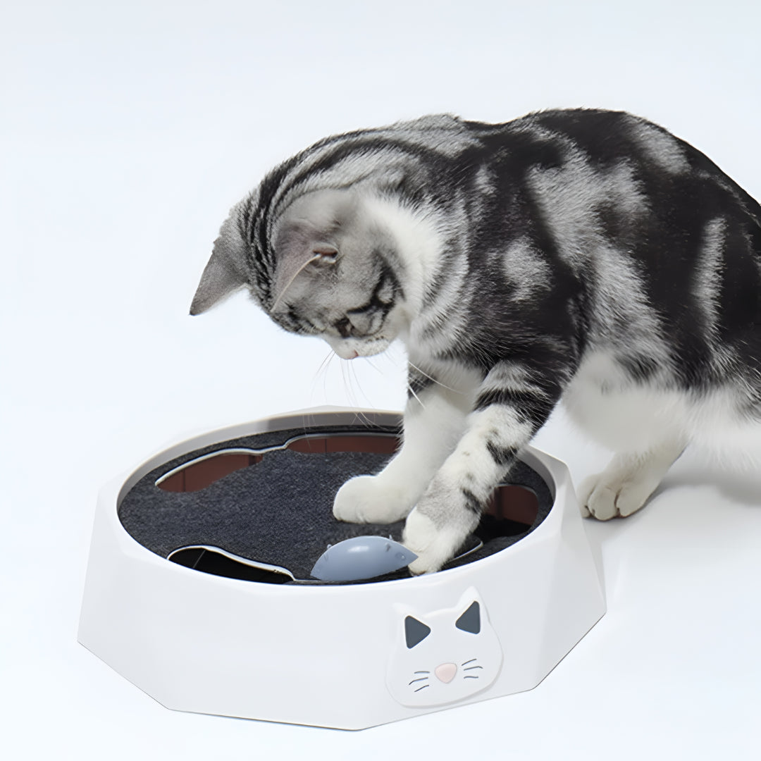 Interactive Mouse Activity Center Cat Toy Scratch Pad