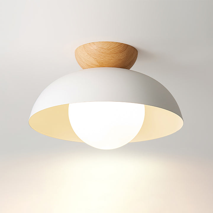 Ceiling Light Eco-friendly Minimalist Nordic Modern
