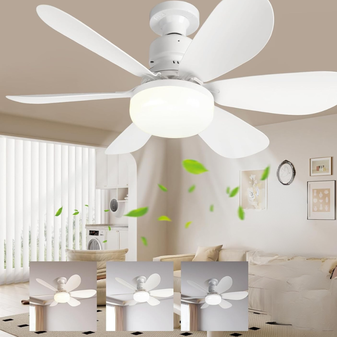 Ceiling Breeze Fan with Adjustable LED Lighting