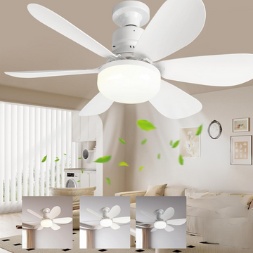Ceiling Breeze Fan with Adjustable LED Lighting
