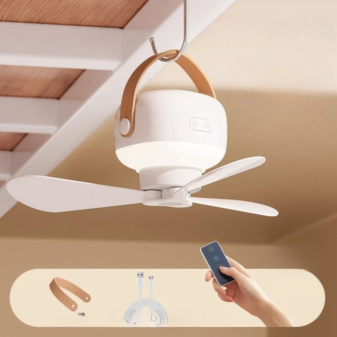 Remote Controlled Ceiling Fan with Light