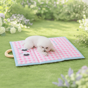 Cooling Mat for Pets Dog Cat Breathable Foldable Portable