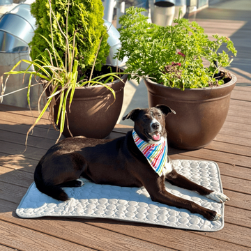 Cooling Mat for Dogs Portable Air Conditioner